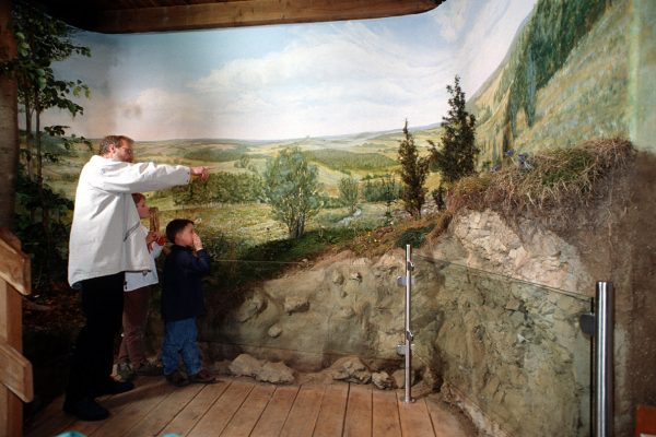 Diorama im Werther Tor: Eine nur dünne Bodenschicht bedeckt den Kalkuntergrund – darauf entwickelt sich durch andauernde Schafbeweidung der typische Magerrasen